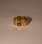 SLASK RING BRASS GARNET.