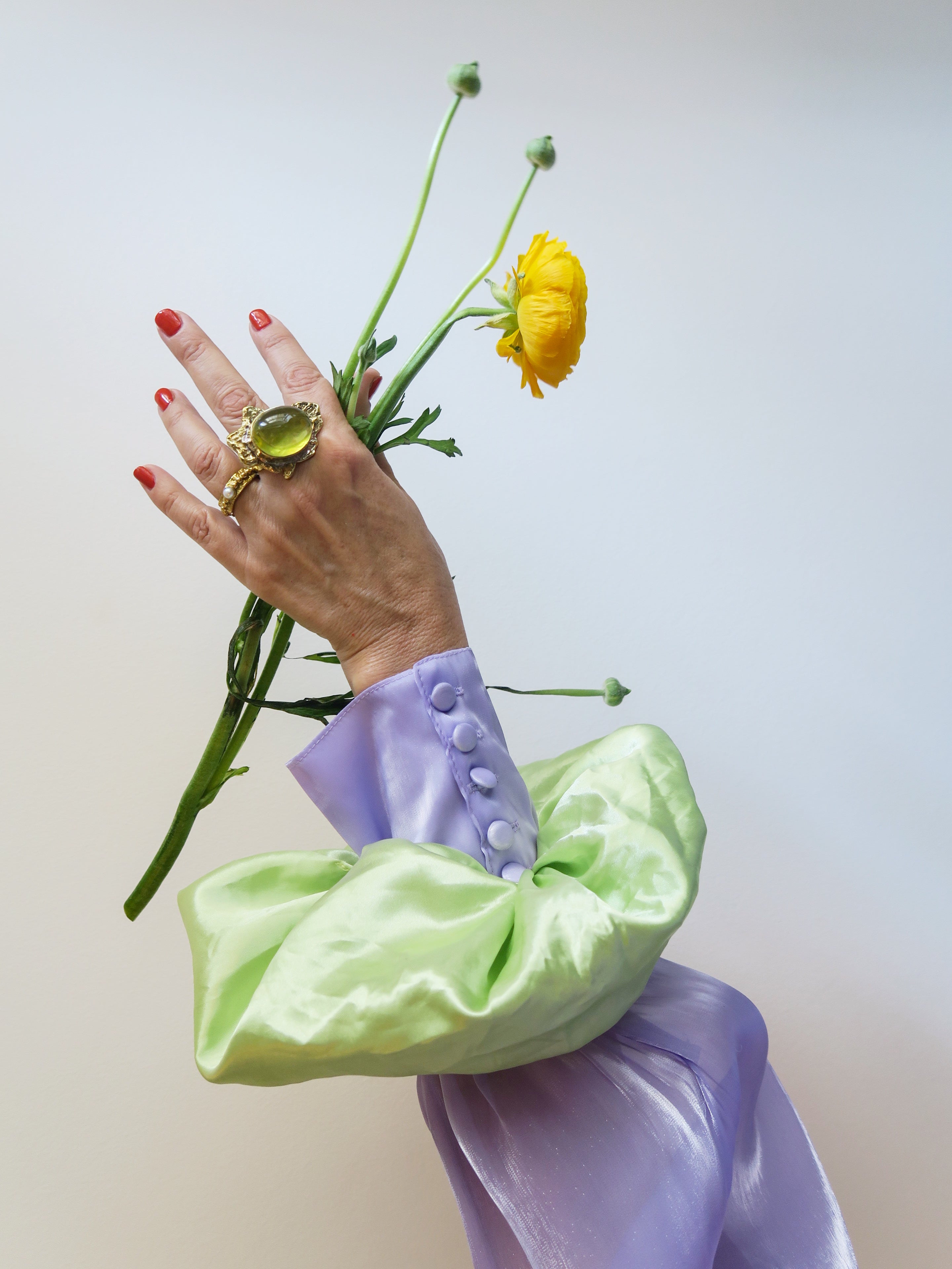 THE ONE - BRASS RING.